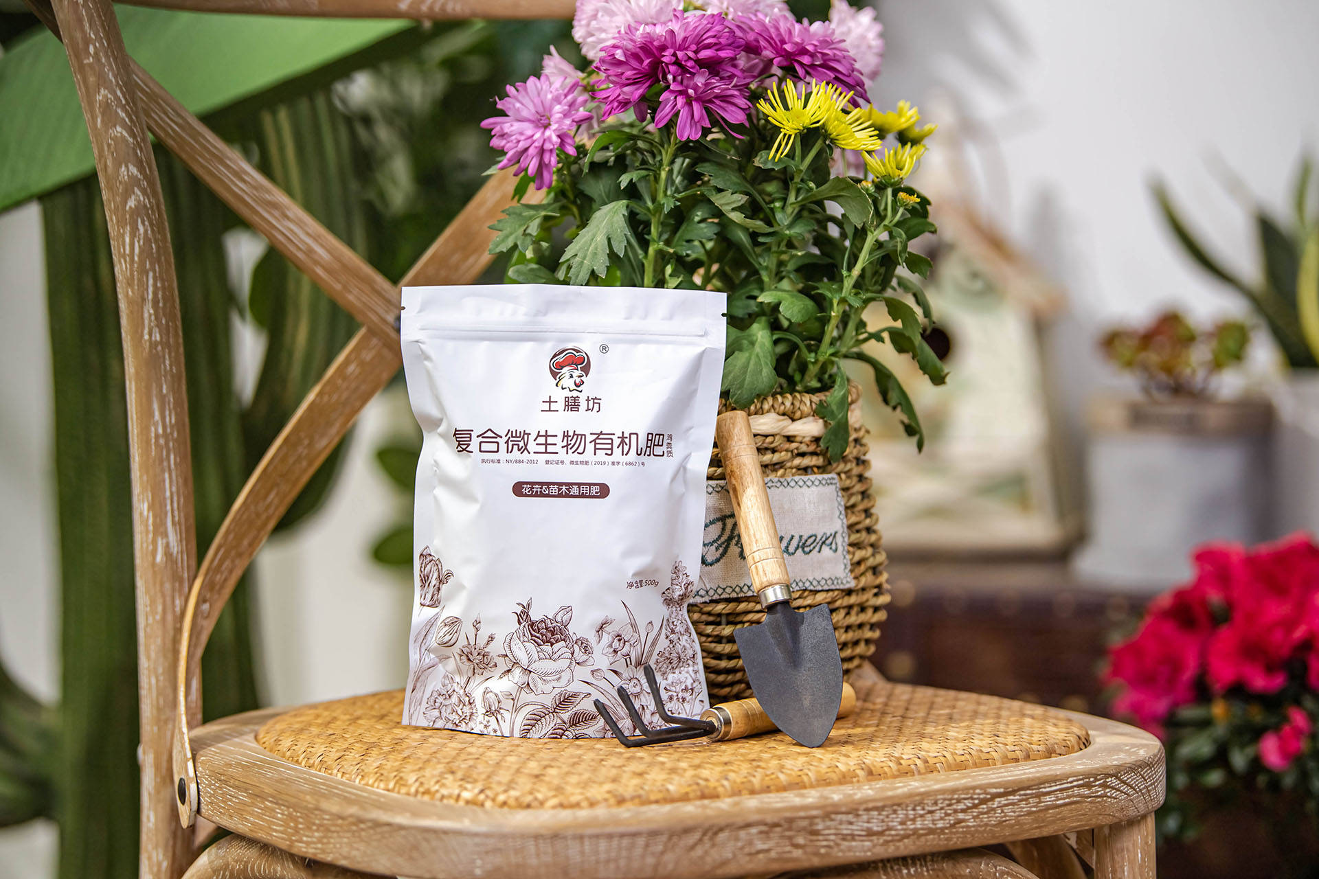 衛(wèi)生養(yǎng)間綠植可以放陽臺嗎_衛(wèi)生間可以養(yǎng)什么綠植_衛(wèi)生間養(yǎng)綠植影響風(fēng)水