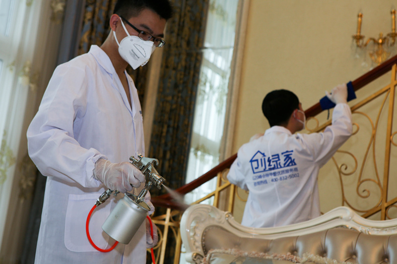 凈化室內(nèi)空氣綠植可以曬太陽嗎_綠植可以凈化室內(nèi)空氣嗎?_室內(nèi)綠植凈化空氣