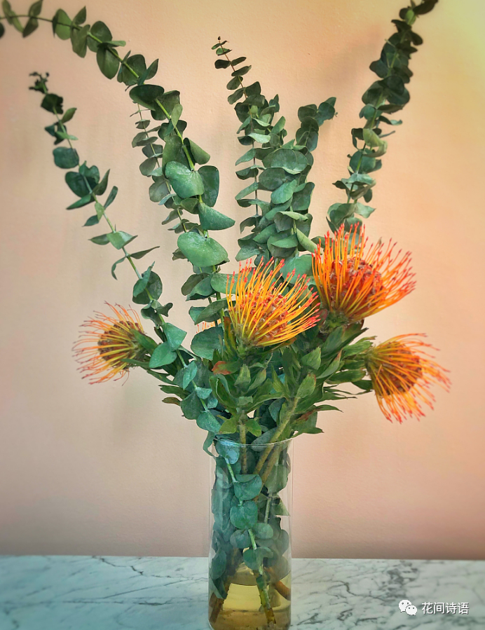 生日送花花語_寓意生日送花祝福語_生日送花的寓意