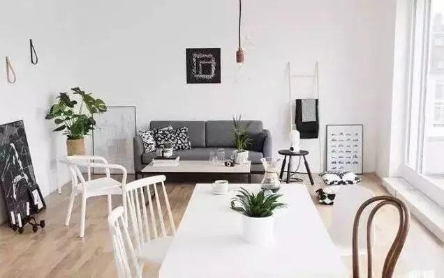 <strong>最適合客廳擺放的6種綠植，既美觀又有利于家人健康！</strong>