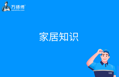 適合辦公室的10大綠植推薦！