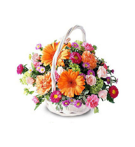 過生日好朋友送花在朋友圈曬詞_送生日適合花朋友的東西嗎_適合送朋友生日的花