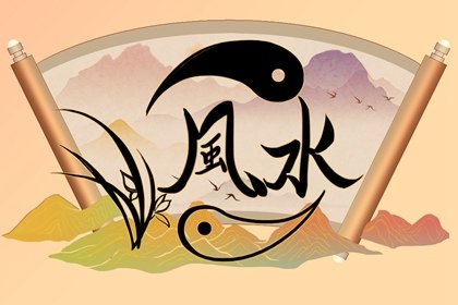 十種適合室內養(yǎng)的植物 室內好養(yǎng)的植物