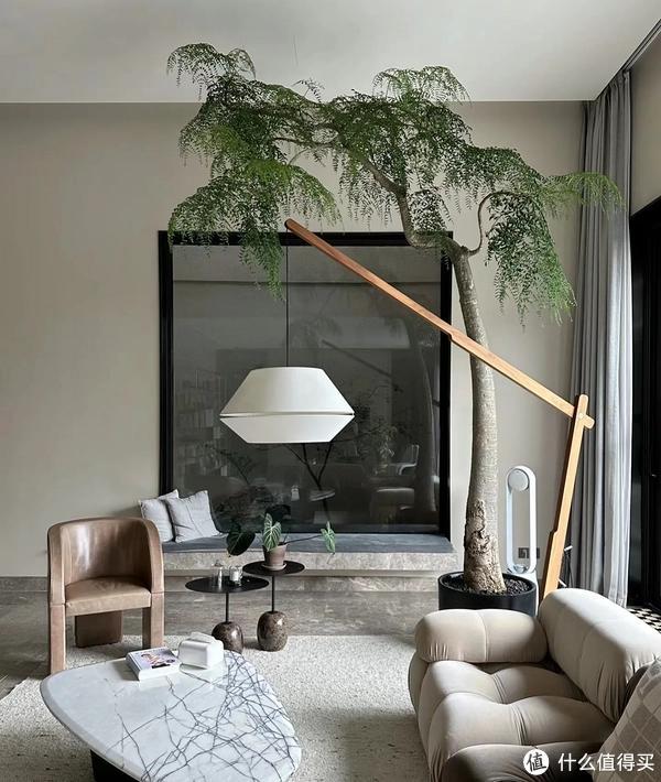 客廳養(yǎng)植物適合家里放什么_家里客廳適合養(yǎng)什么植物_客廳適合養(yǎng)植物好風(fēng)水