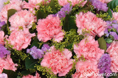 送花給媽媽_送花媽媽祝福語(yǔ)_送花媽媽祝福語(yǔ)簡(jiǎn)短