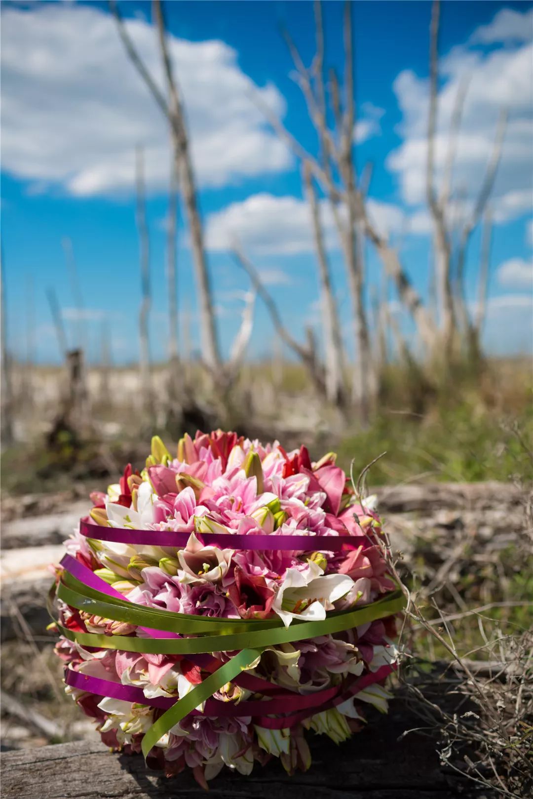 親人逝去送給花怎么說_親人逝去送給花的祝福語_送給逝去親人的花